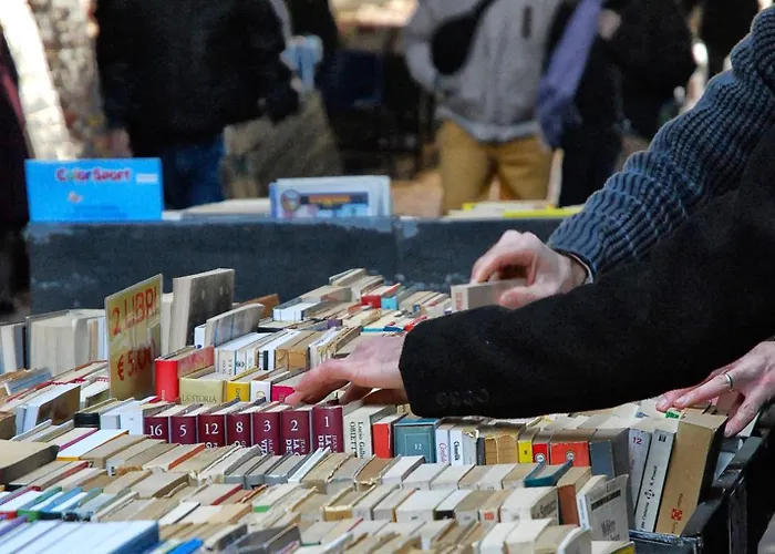 Art Flat * 나폴리